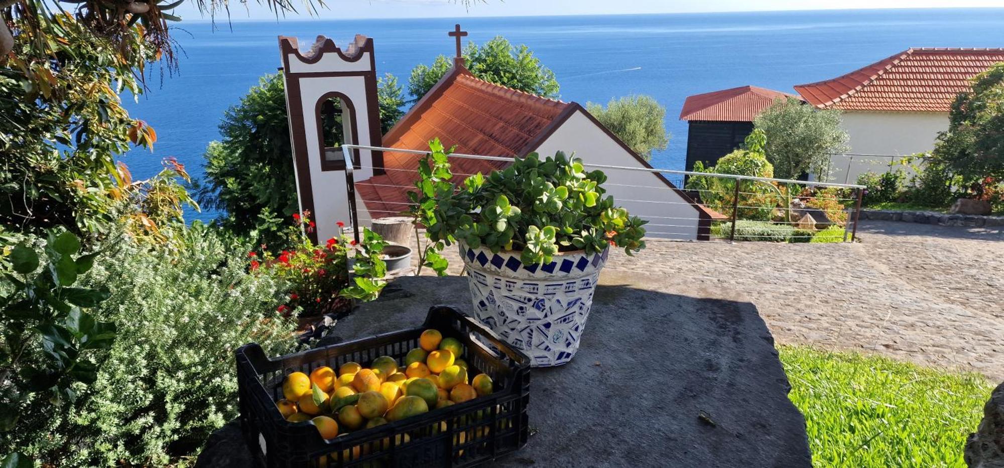 Villa Torre Bella Gardens Arco da Calheta  Exterior foto