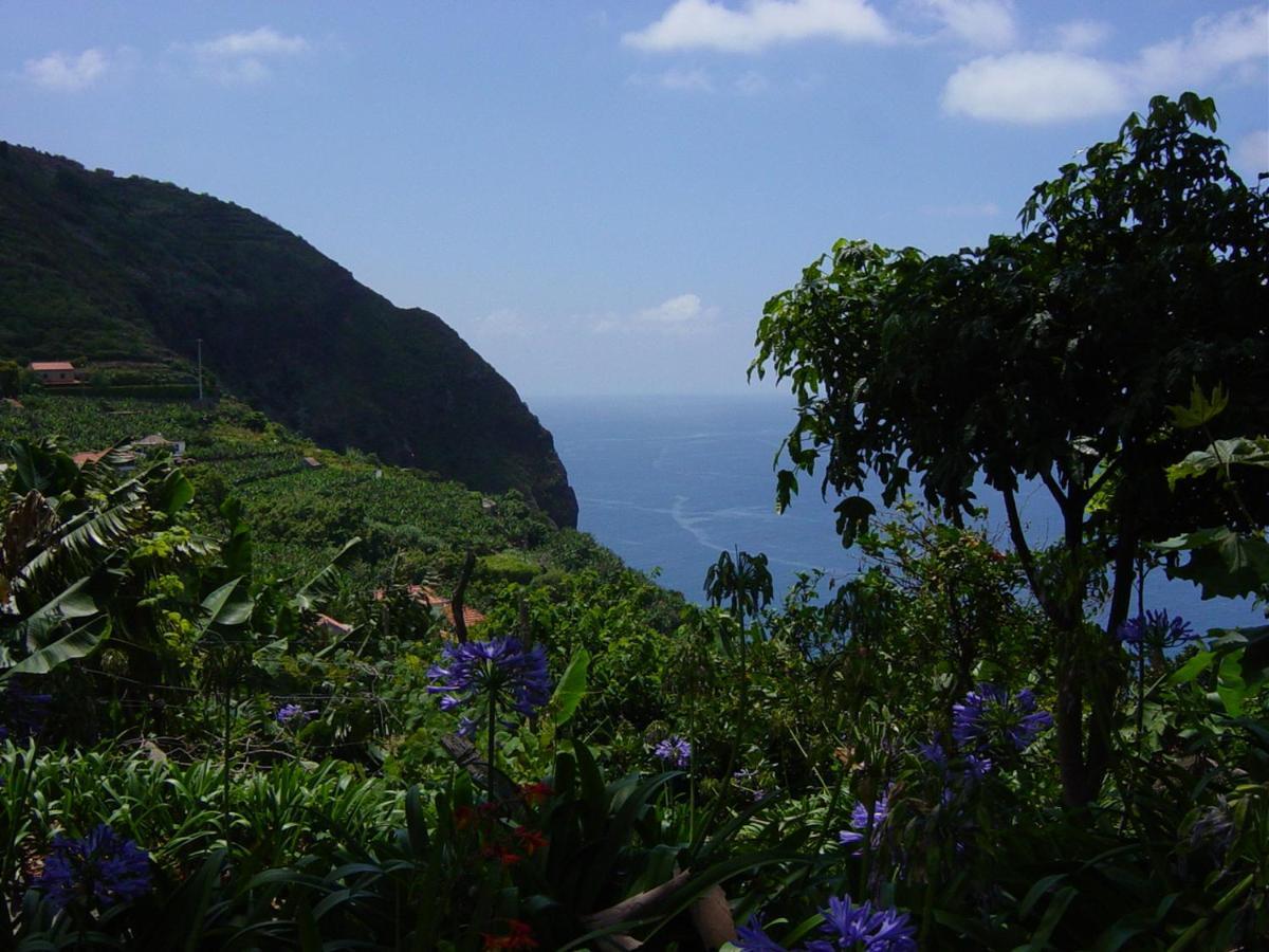Villa Torre Bella Gardens Arco da Calheta  Exterior foto